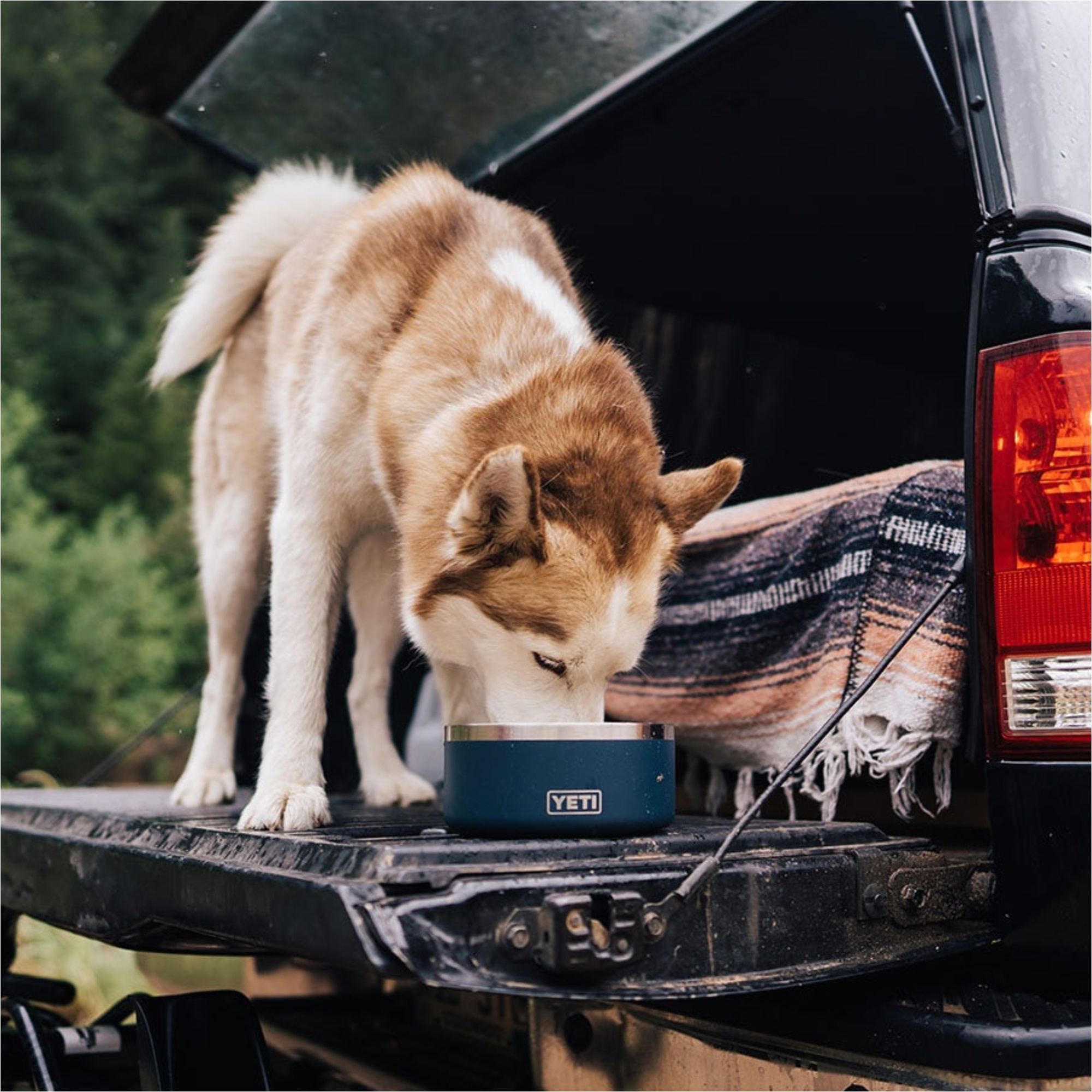2026 YETI Boomer 4 Hundenapf 70000003508 - Navy